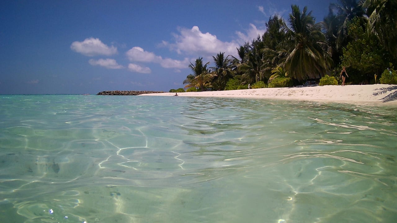 Strand Summer Island Maldives