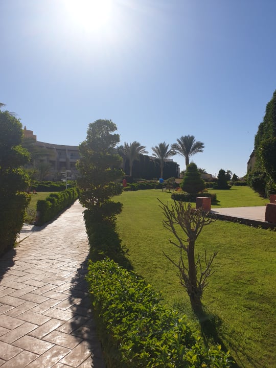 Gartenanlage Prima Life Makadi Resort