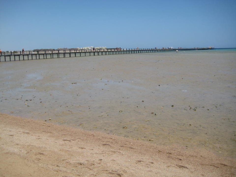 Steg zum Riff (ca 300m lang) Stella Beach Resort & Spa Makadi Bay