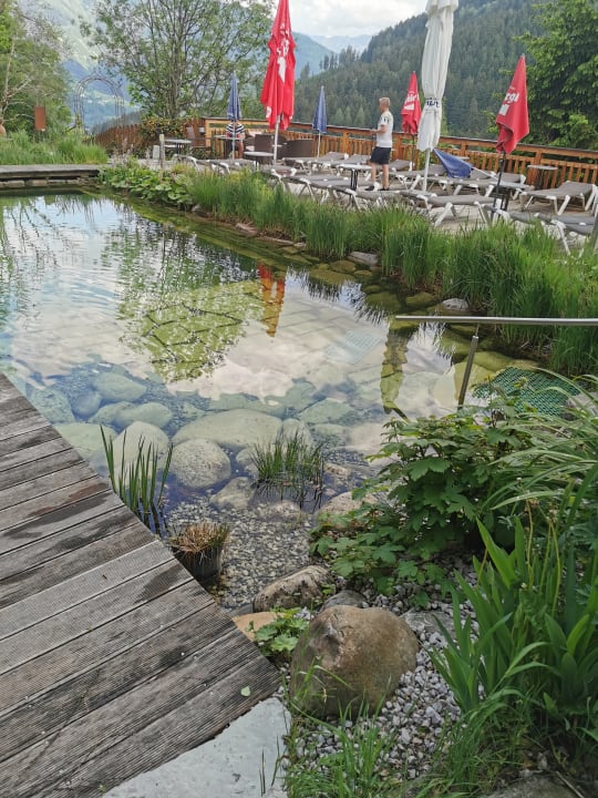Außenansicht Gartenhotel Daxer