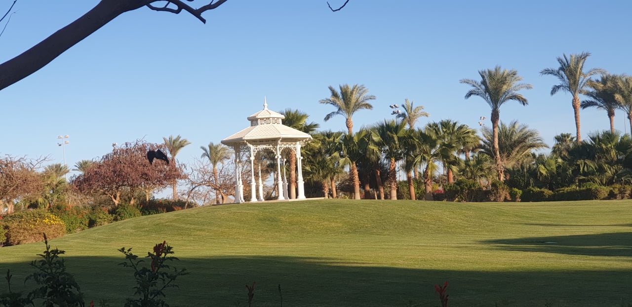 Gartenanlage Steigenberger ALDAU Beach Hotel