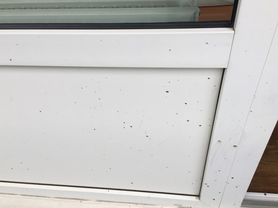 Zimmer Ferienwohnungen Ferienpark Weissenhäuser Strand