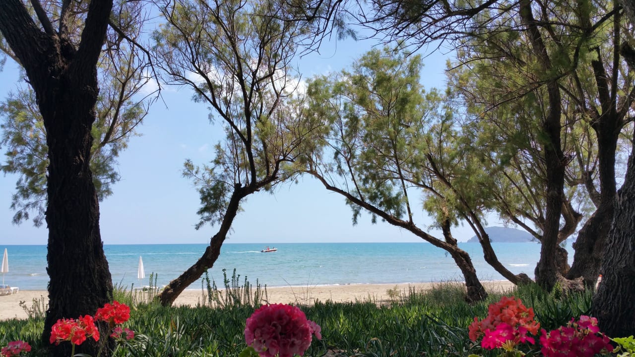 Von der Starndbar Domes Aulūs Zante, Autograph Collection