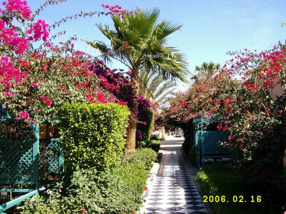Die Anlage rechts & links die Bungalows Giftun Azur Resort