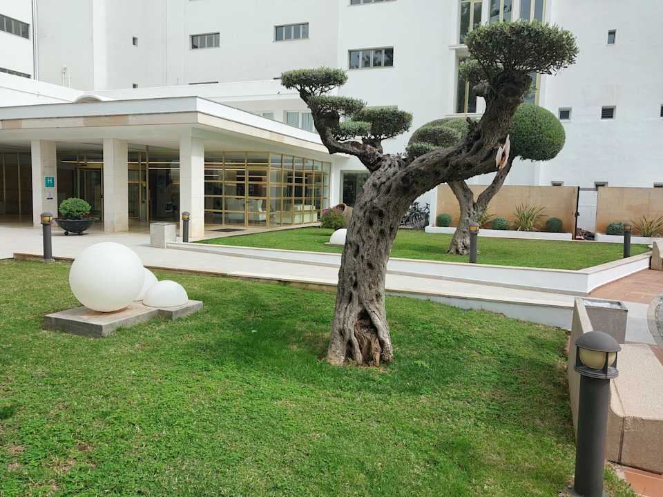 Außenansicht CM Playa del Moro