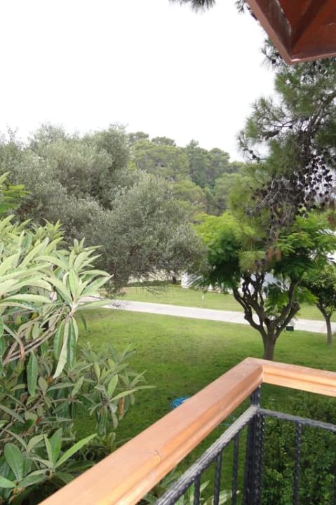 Widok z pokoju na ogród Club Marco Polo