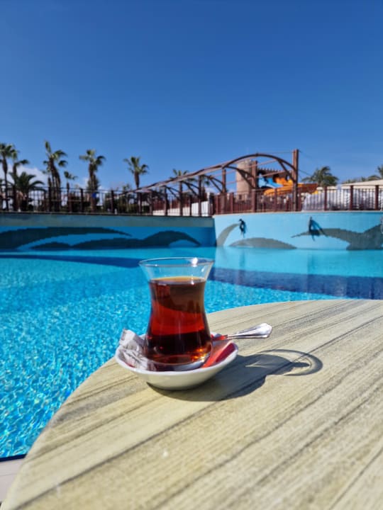 Pool Aydinbey Kings Palace & Spa