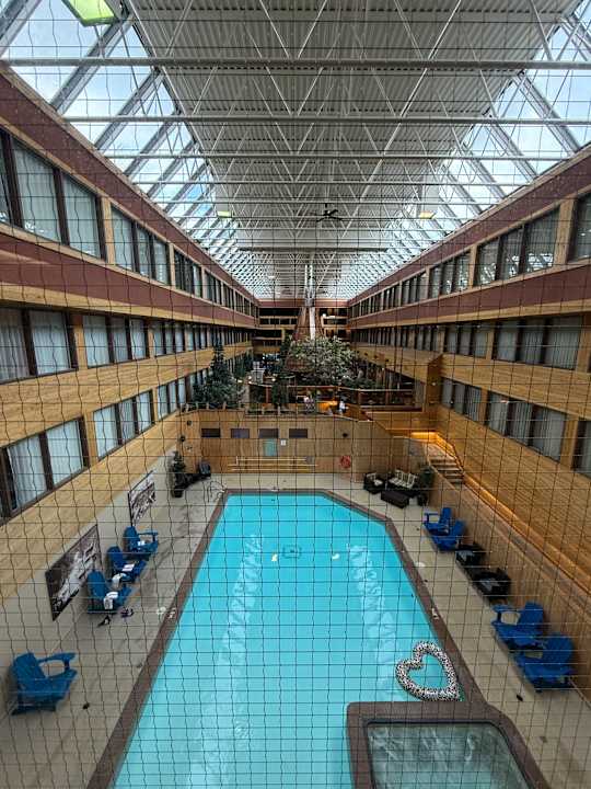 Pool Forest Park Hotel