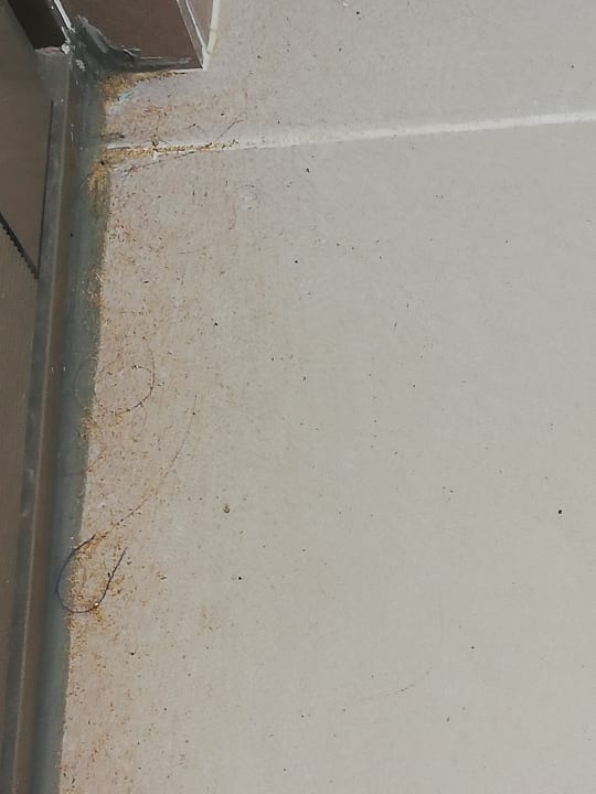 Zimmer Seashell Vega