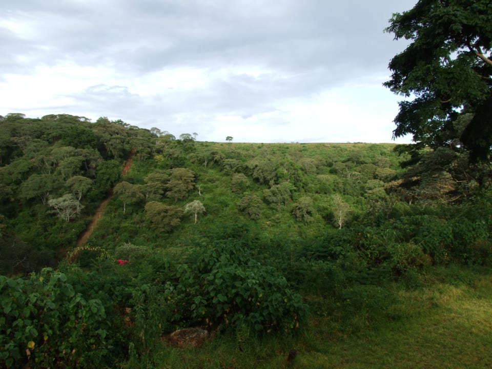 Gartenanlage Hhando Coffee Lodge