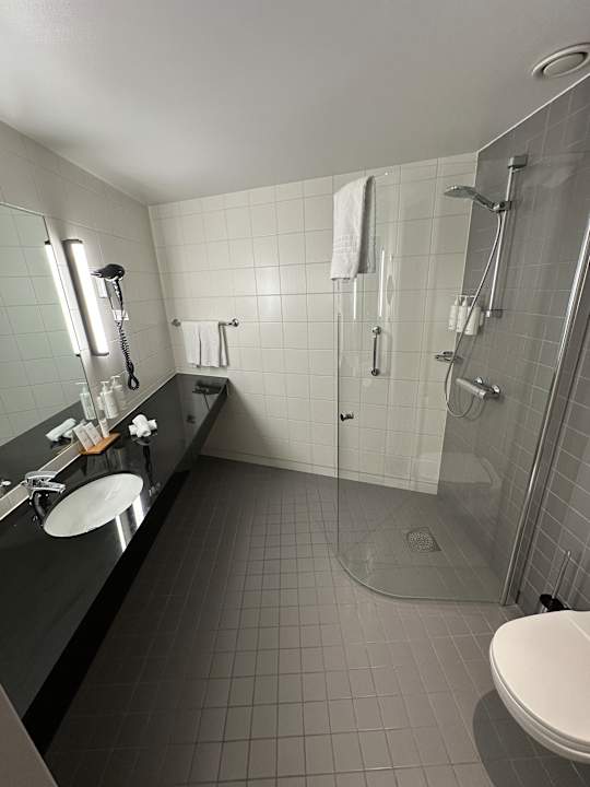 Zimmer Radisson Hotel & Conference Centre Oslo Airport