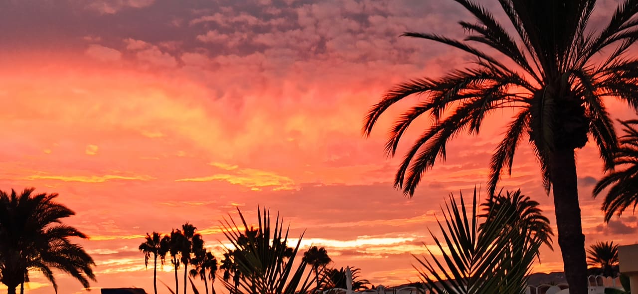 Sonstiges Hotel Riu Palace Maspalomas Adults Only