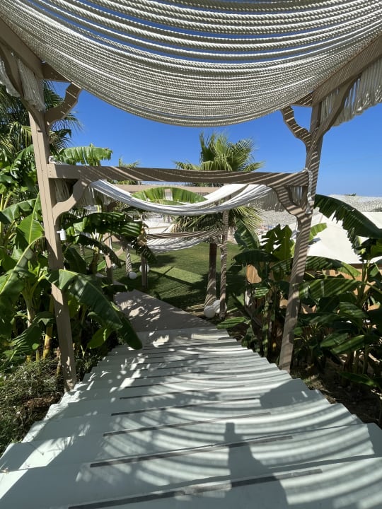 Gartenanlage Porto Bello Royal