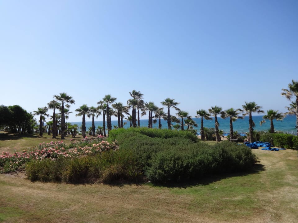 Restaurant Atlantis Club Grand Side