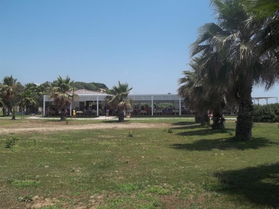 Die Gartenanlage neben der Strandbar Hotel Orfeus Park