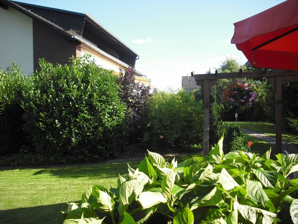 Garten u. Rückseite des Hauses Ferienwohnung Haus Kotthoff