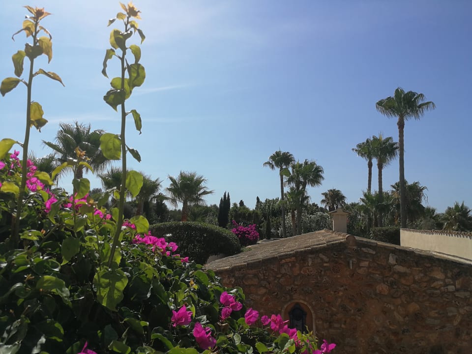 Außenansicht Finca Amapola - Agrotourismus Hotel