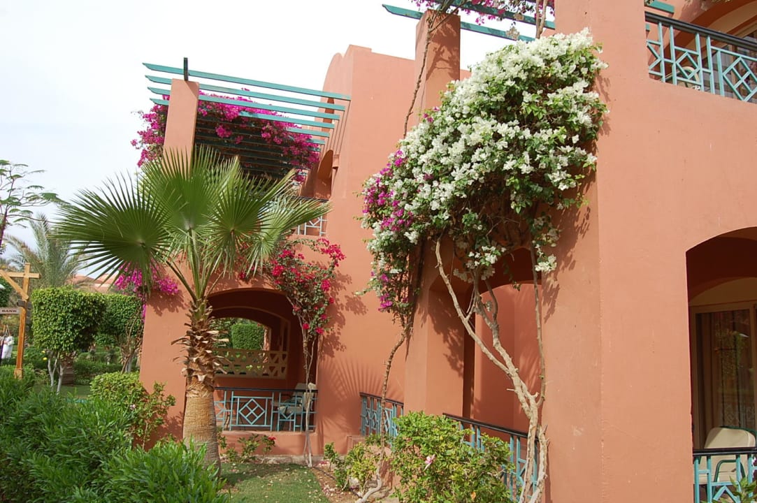 Ukwiecone balkony TUI MAGIC LIFE Redsina Sharm El Sheikh