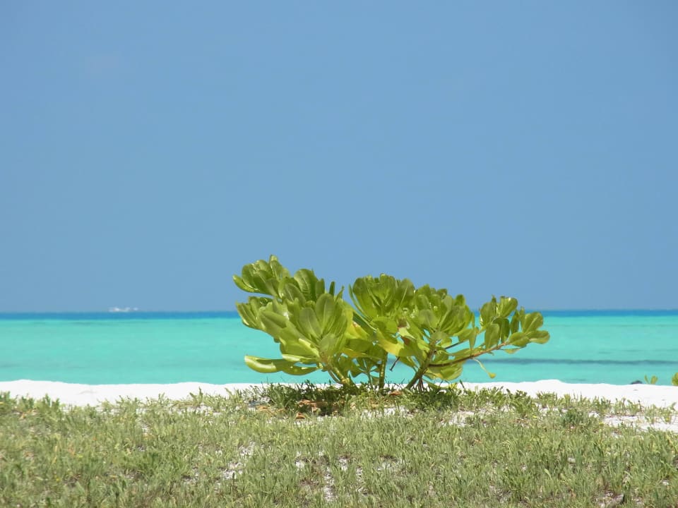 Wunderschön...  Meeru Maldives Resort Island