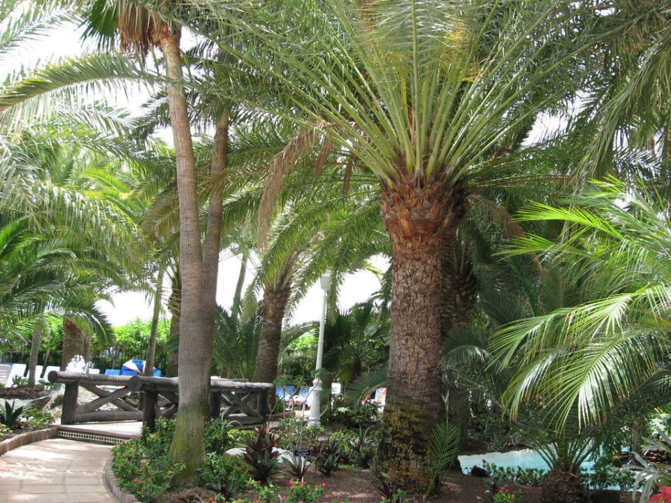 Garten Hotel Parque Tropical