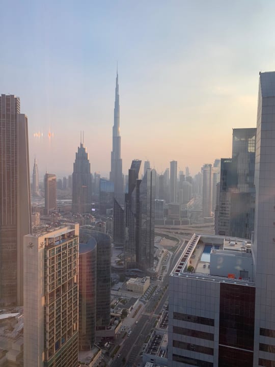 Ausblick Rose Rayhaan by Rotana