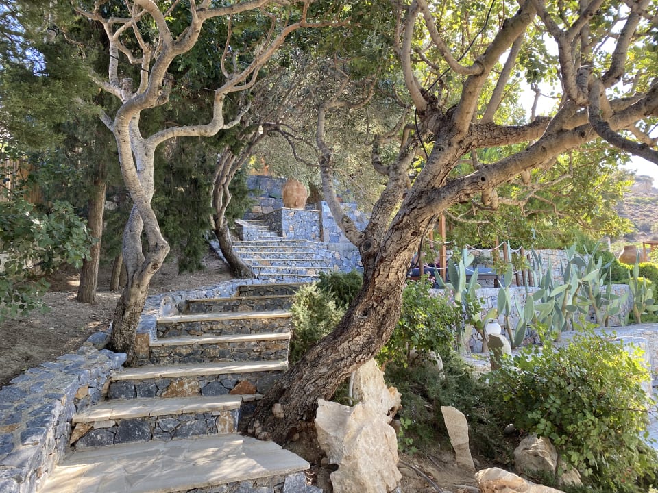Gartenanlage Paralos Irini Mare