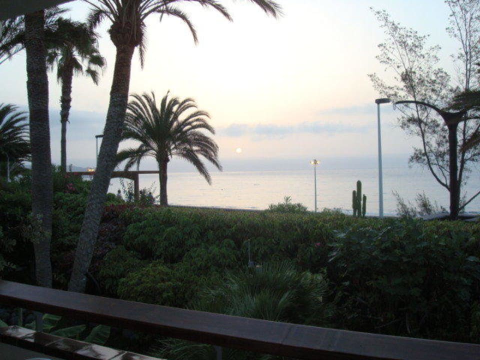 Ausblick Richtung Promenade / Meer Apartamentos Nogalera