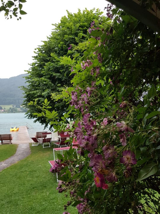 Gartenanlage Hotel Seewinkel