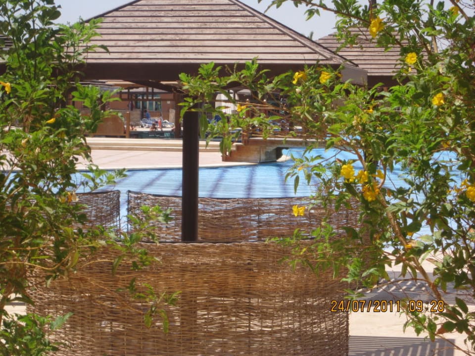 Widok z pokoju SUNRISE Royal Makadi Resort