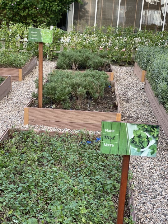 Gartenanlage TUI MAGIC LIFE Beldibi +16