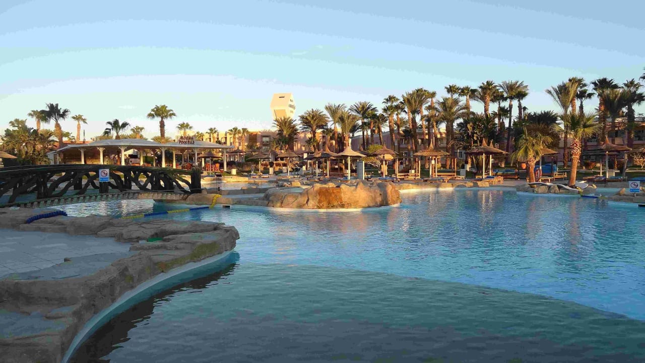 Poollandschaft Beach Albatros Resort