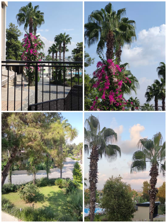 Ausblick Club Sidelya Hotel