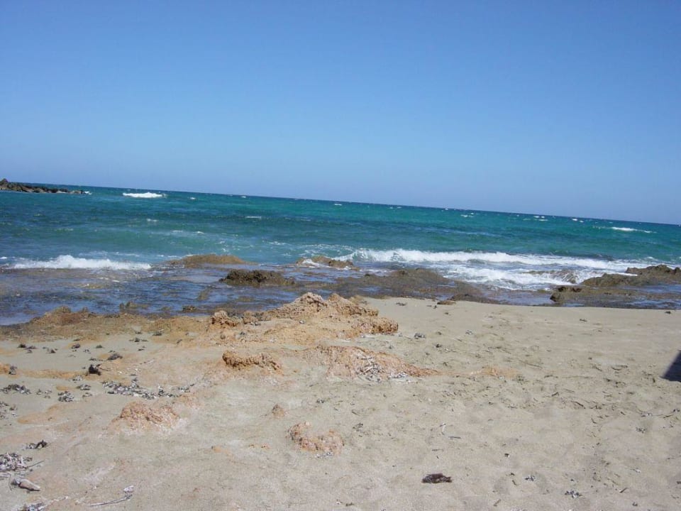 Hotelstrand Phãea Cretan Malia