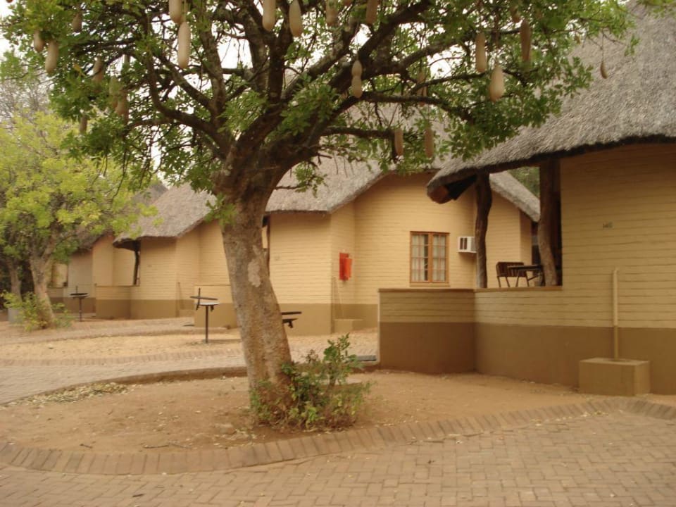 Rundhütte Hotel Restcamp Skukuza