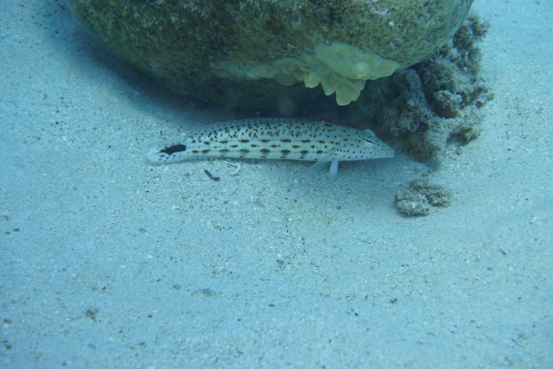 Sonstiges Brayka Bay Resort