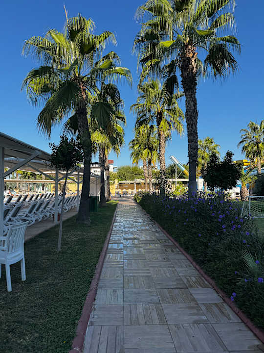 Gartenanlage Sultan of Dreams Hotel & Spa