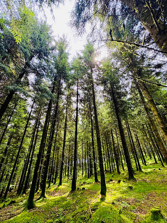 Gartenanlage Aldiana Club Ampflwang