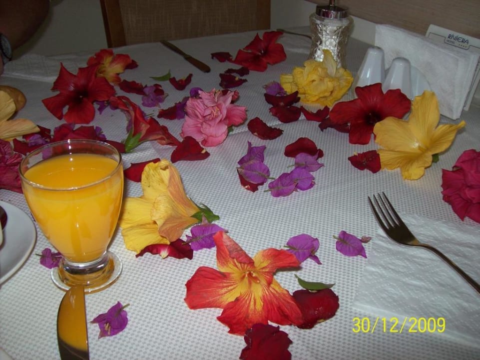 Geburtstag Riviera Hotel & Spa