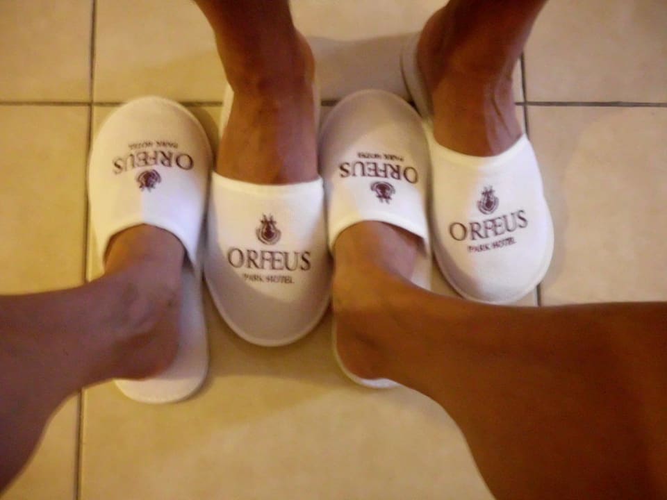 Gut beschuht Hotel Orfeus Park