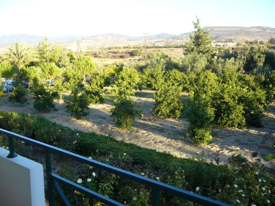 Zimmeraussicht zur Landseite Hotel Natura Beach