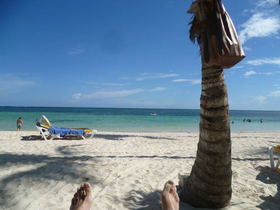 Traumhaft Catalonia Punta Cana - All Inclusive