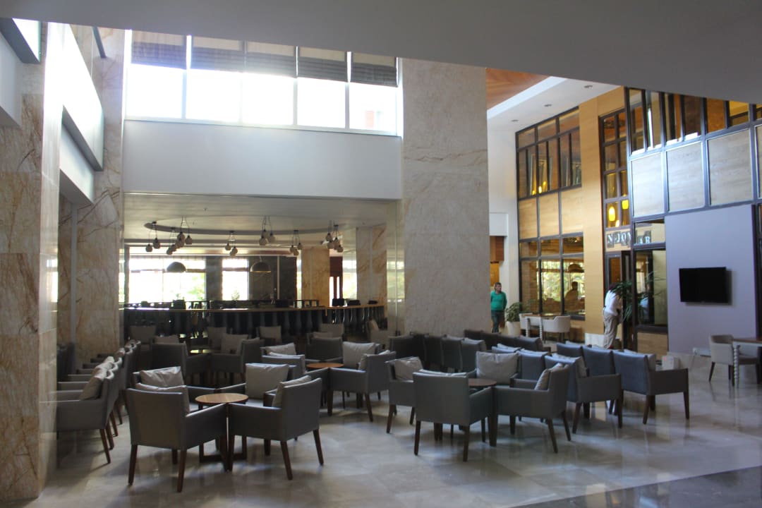 Bar Sentido Trendy Verbena Beach