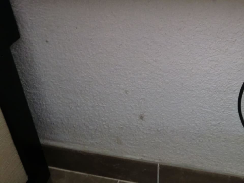 Verschimmelte Wand Sandos Playacar Select Club Adults only - All Inclusive