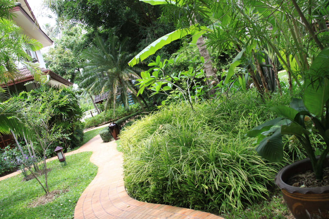 Weg zur Lobby Paradise Beach Resort, Samui