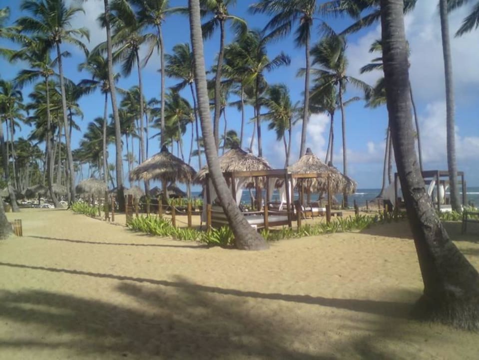 Strand für VIP Grand Sirenis Punta Cana Resort & Aquagames