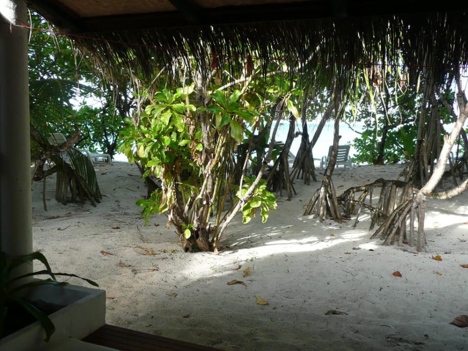 Vor dem Bungalow Angaga Island Resort