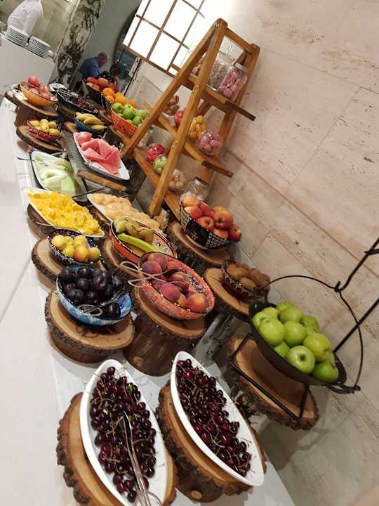 Gastro Acanthus Cennet Barut Collection