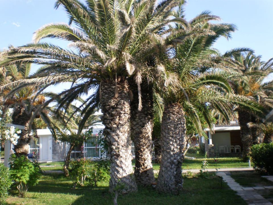 Creta Beach Civitel Creta Beach