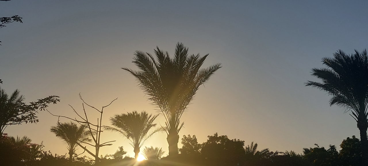 Ausblick Desert Rose