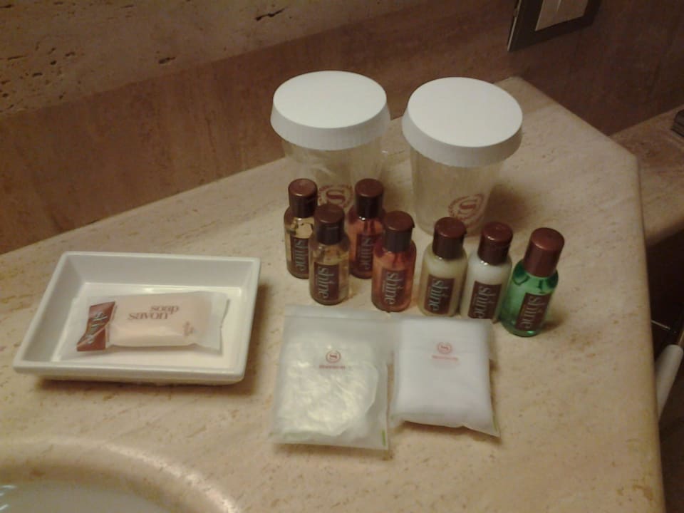 Perfettp Sheraton Parco de' Medici Rome Hotel